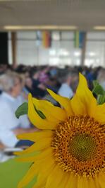 Ich bin eine Bildbeschreibung. Soll ich nicht erscheinen unten den Haken rausnehmen