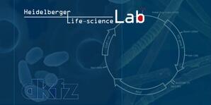 Lie Science Lab