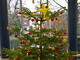 Vorweihnachtszeit am LG