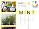 MINT-EC-Zertifikat