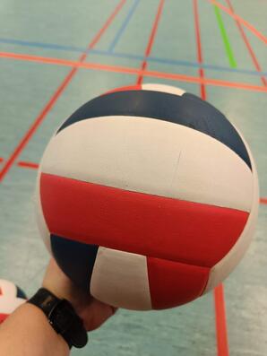 Volleyball am LG