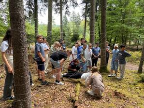 Die Klasse 6a im Wald